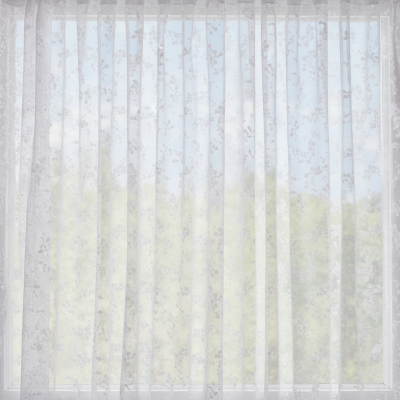 Oscar_window_original